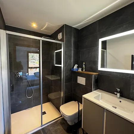 De Standing, Au Pied Des Pistes Avec Parking Et Wifi, Les Carroz D'araches - Fr-1-572-280 * Araches-la-Frasse