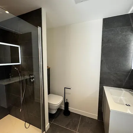 Apartment De Standing, Au Pied Des Pistes Avec Parking Et Wifi, Les Carroz D'araches - Fr-1-572-280 *